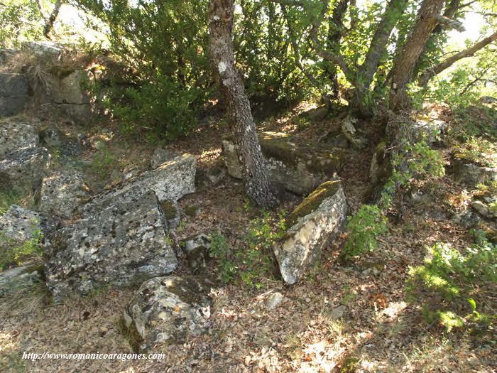 INTERIOR HACIA LA CABECERA -ARBOLES EN CILINDRO ABSIDAL-